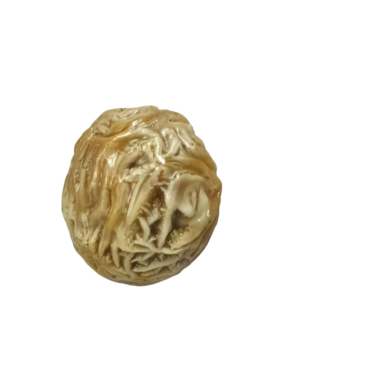 阿拉善盆景石戈壁石鱼缸造景