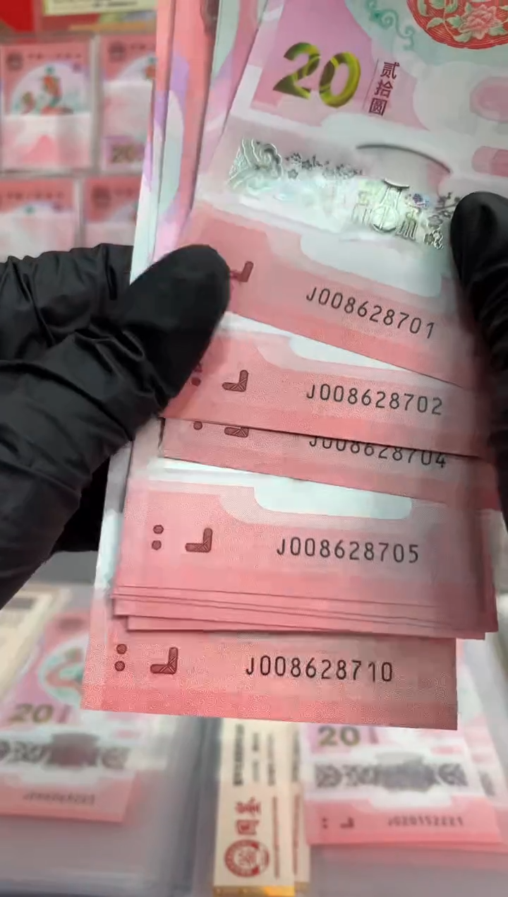 【闪购商品】塑料2025蛇钞  十连号   8701