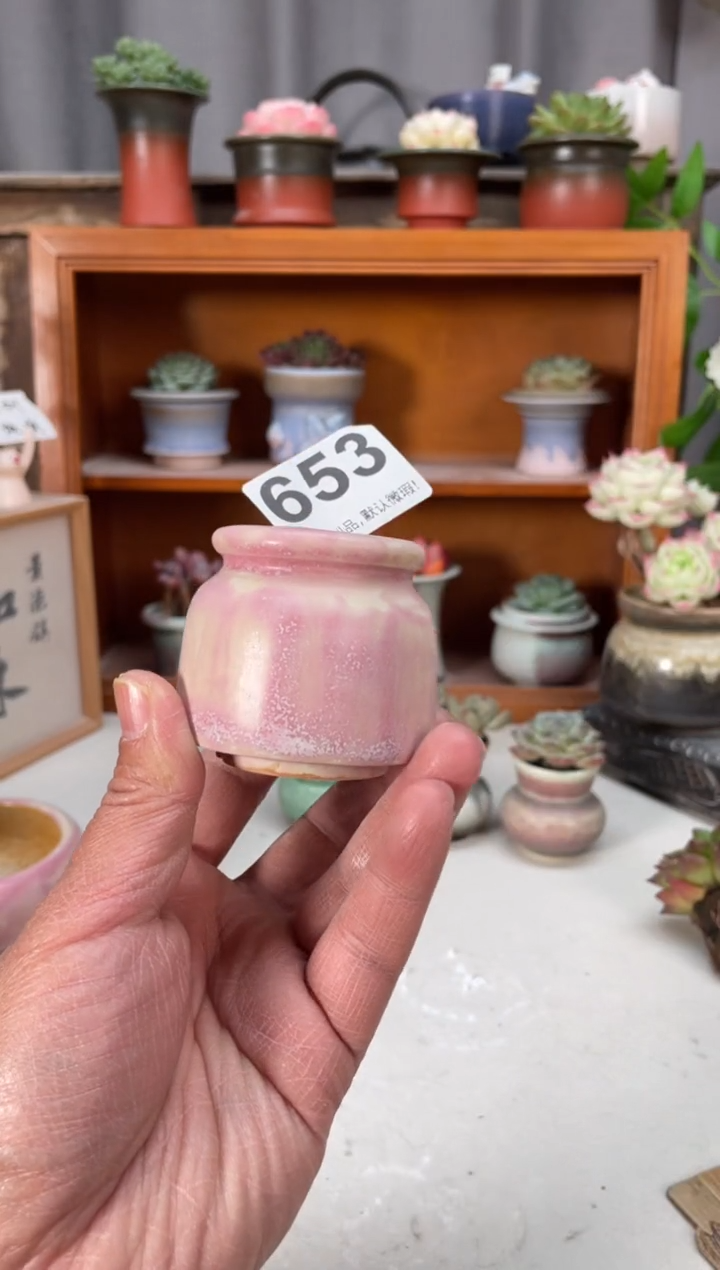 瓷片653小芳直播编号