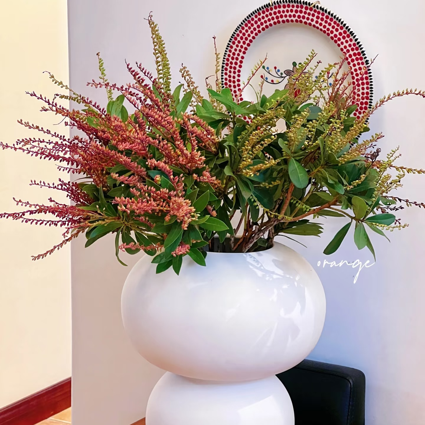 【买一送一】山里红 原色喷色 云南基地鲜花直发  家养水养