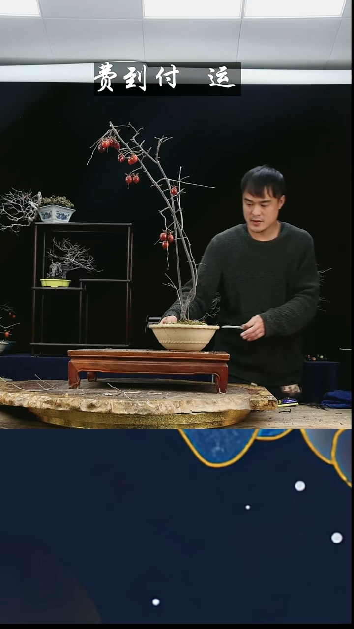 无花朵秀**院666老鸦柿