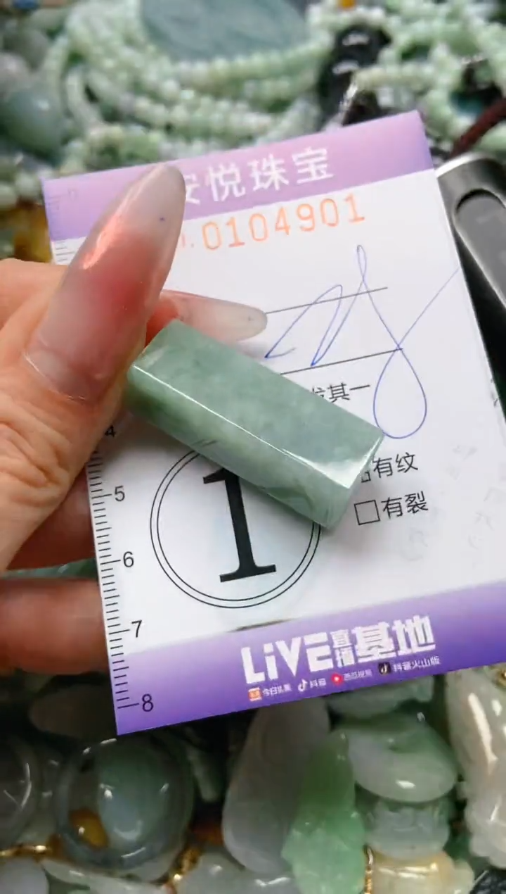 【闪购商品】翡翠颈饰未镶嵌闪购0104901