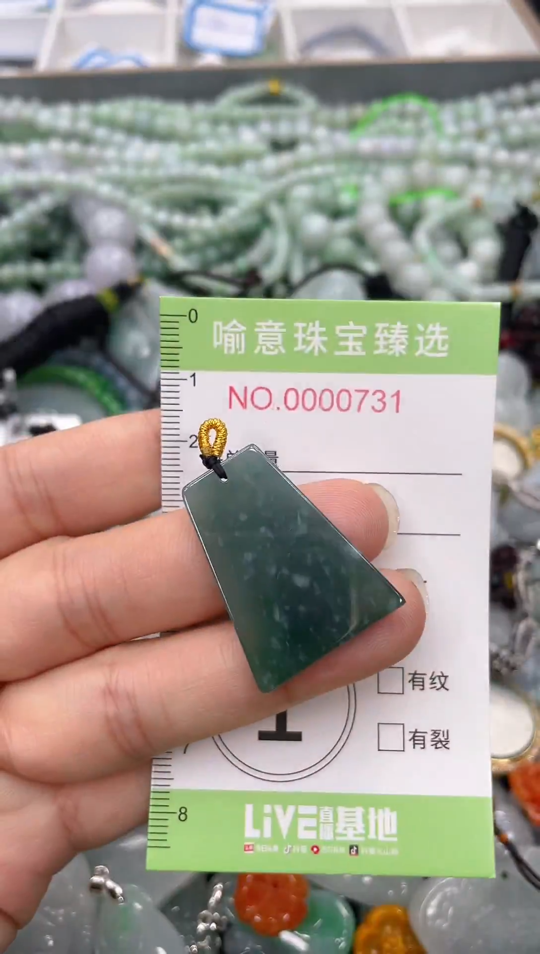 颈饰未镶嵌翡翠033