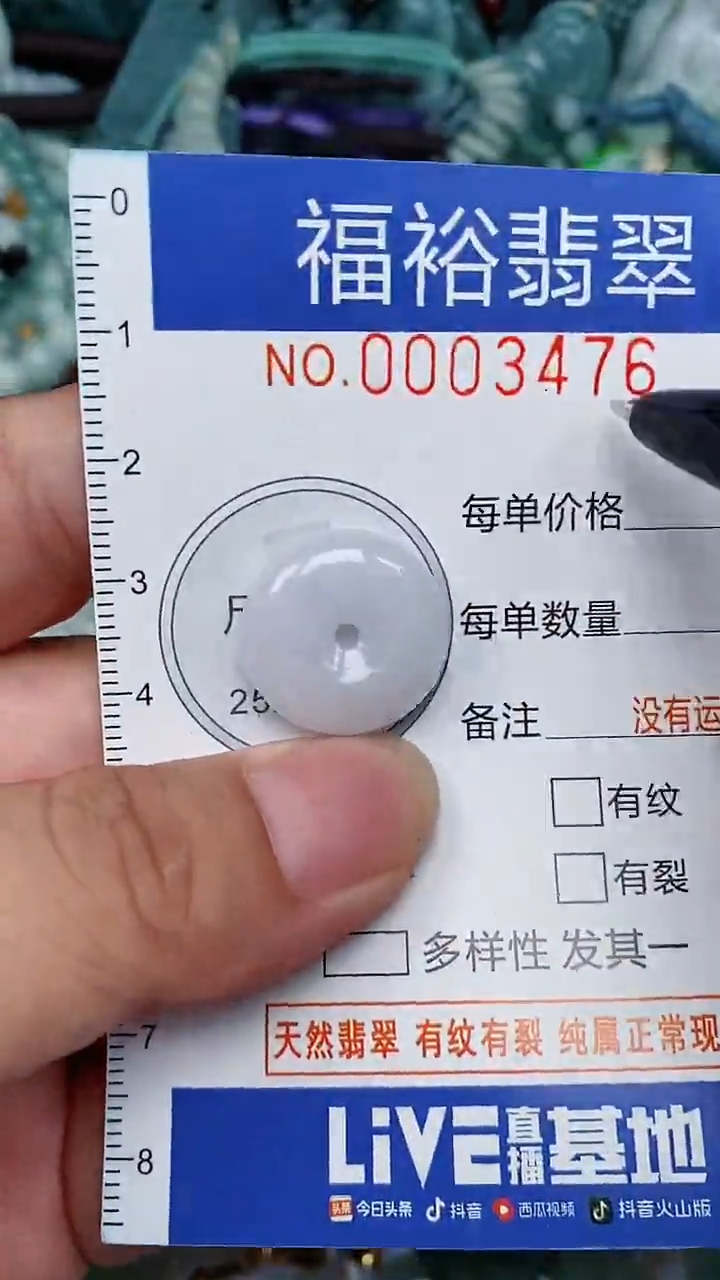 翡翠未镶嵌颈饰...0003476