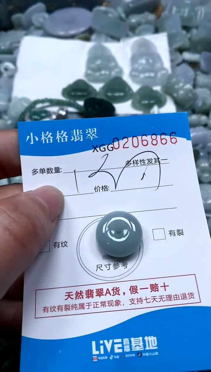 【闪购商品】翡翠颈饰未镶嵌闪购商品0206866