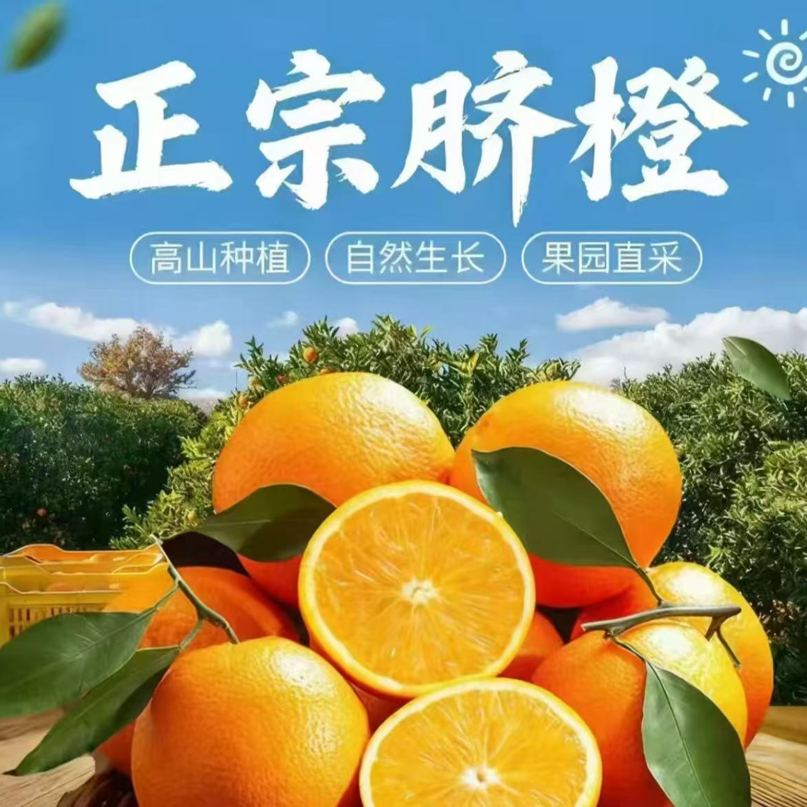 【新鲜采摘】纽荷尔脐橙橙子榨汁果整箱当季水果 10 斤整箱包邮爆J