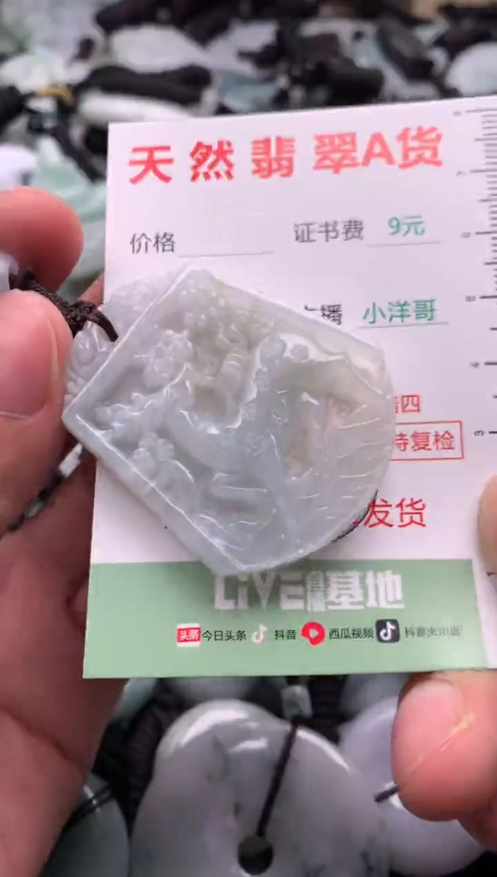 翡翠未镶嵌吊坠(不含链)1
