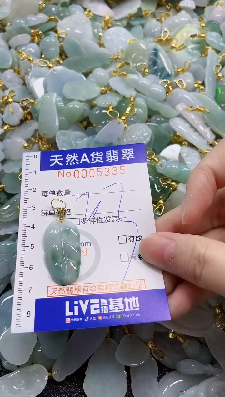 颈饰未镶嵌翡翠天然A货翡翠