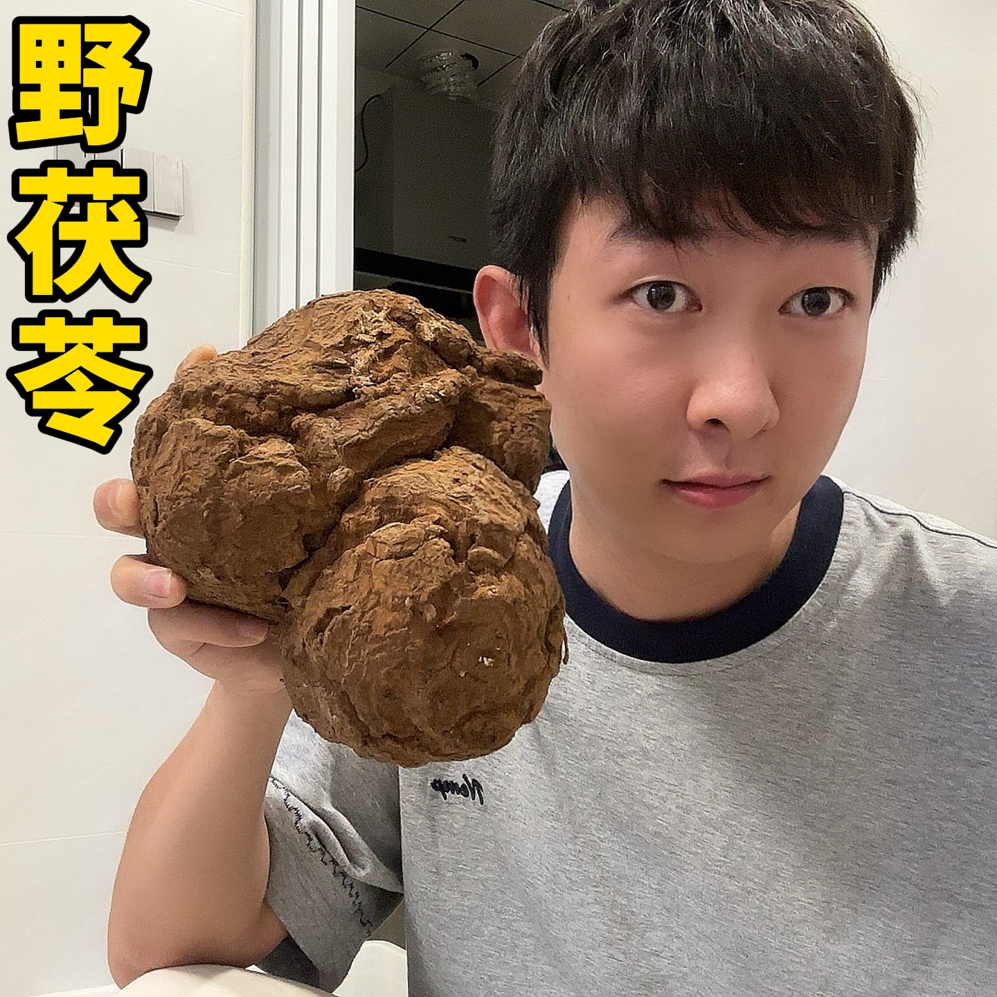 野生茯苓块生切茯苓无硫茯苓