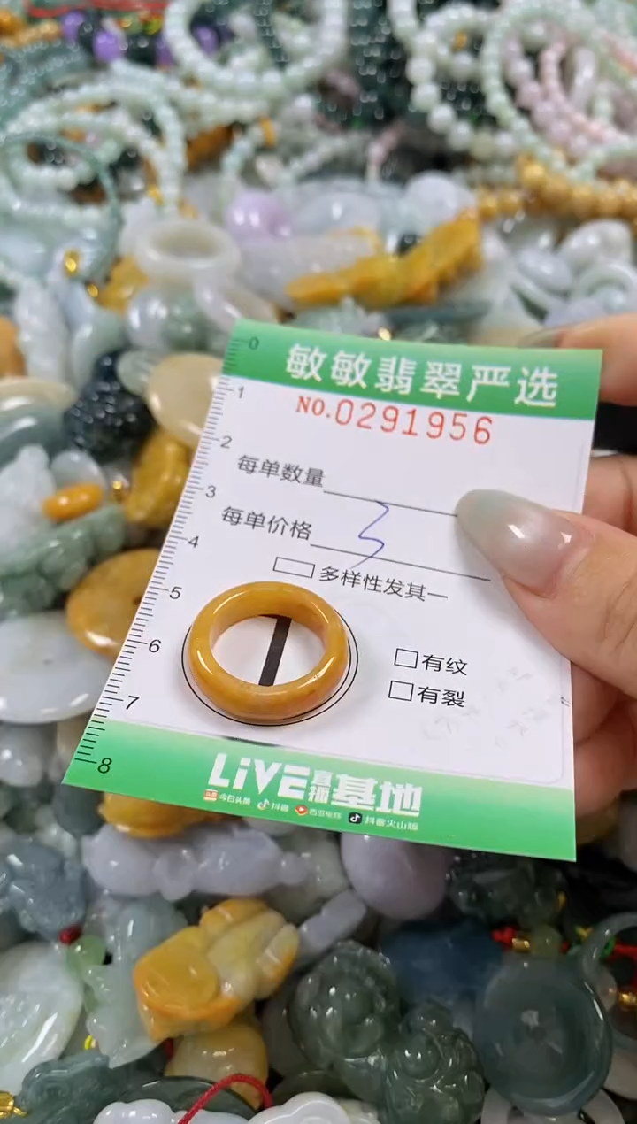 翡翠未镶嵌颈饰闪购0291956