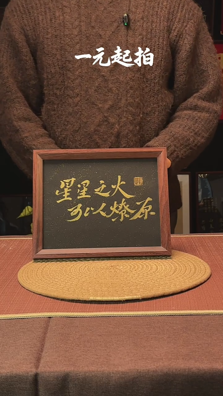 书法文****s文某人Plus