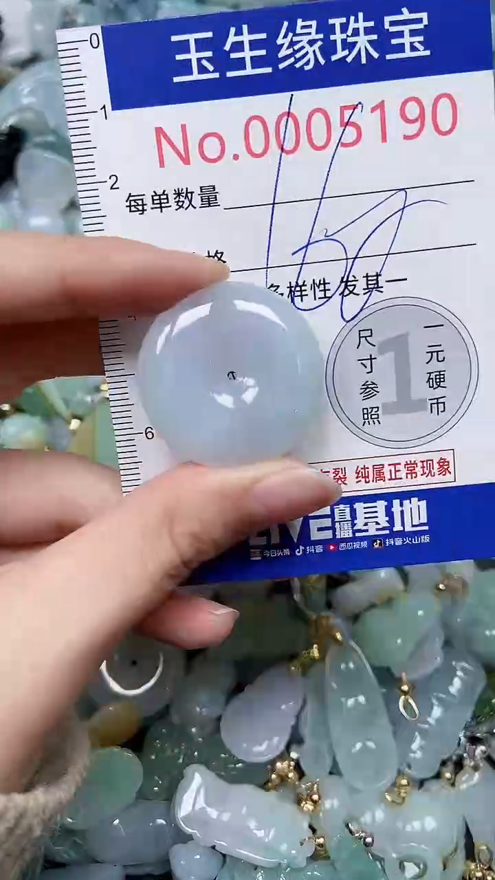 【闪购商品】翡翠颈饰未镶嵌闪购00005190