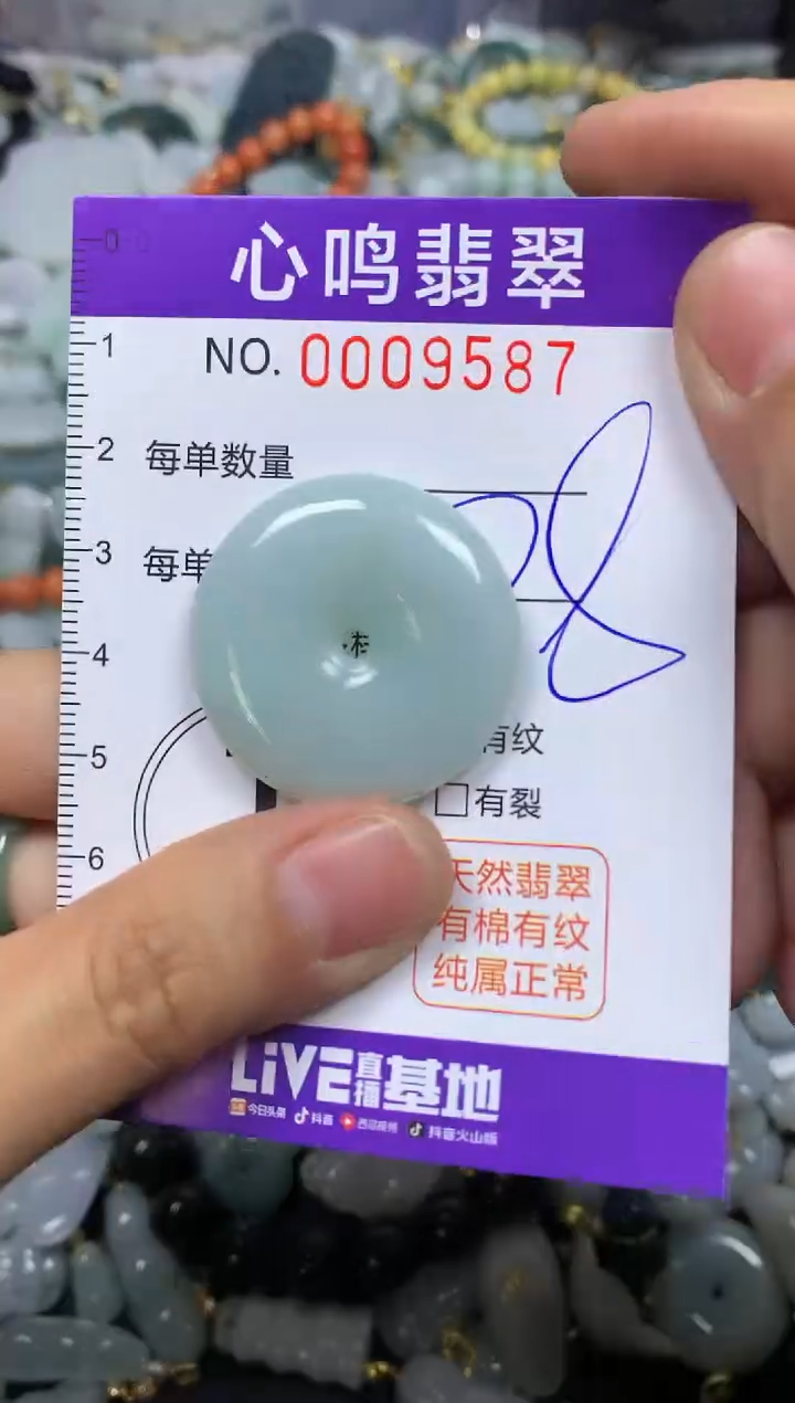 【闪购商品】翡翠颈饰未镶嵌闪购009587