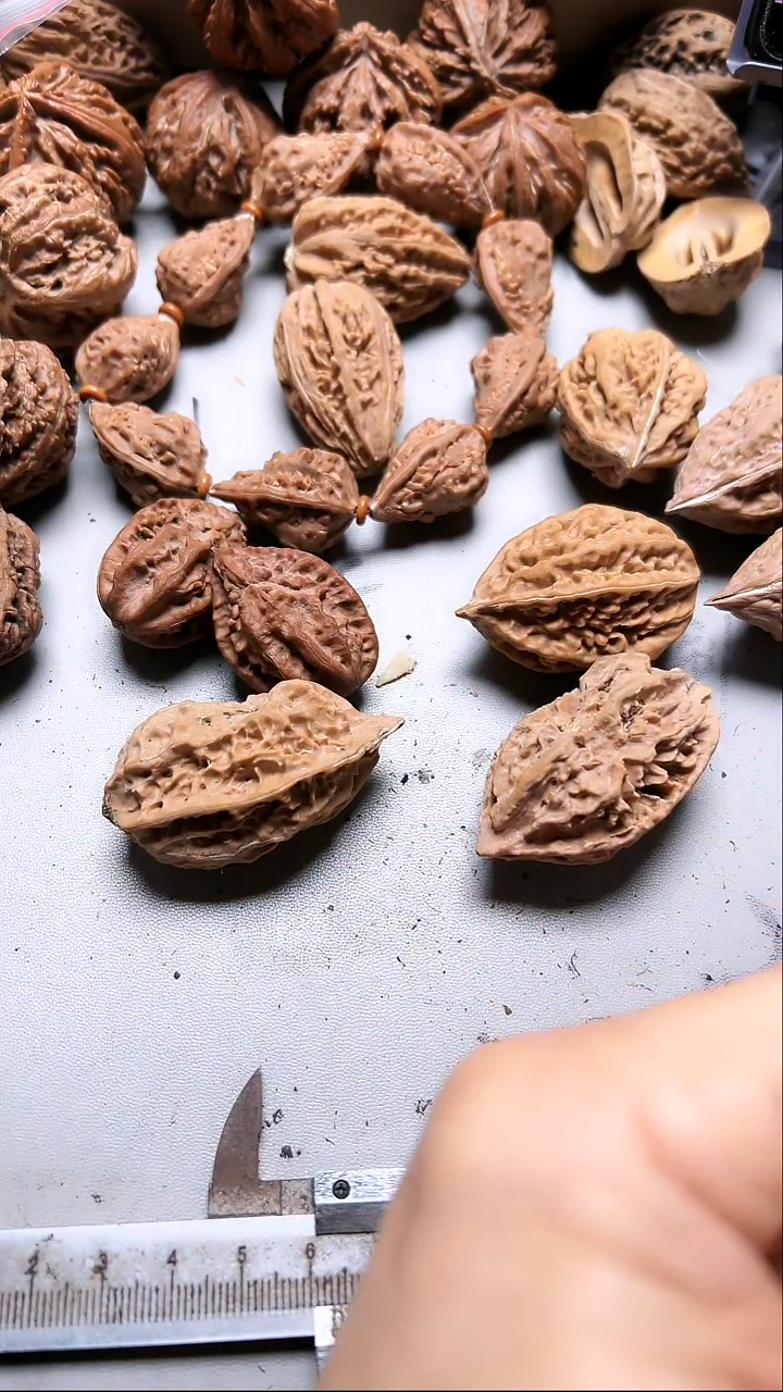 核桃东北野生大秋子7