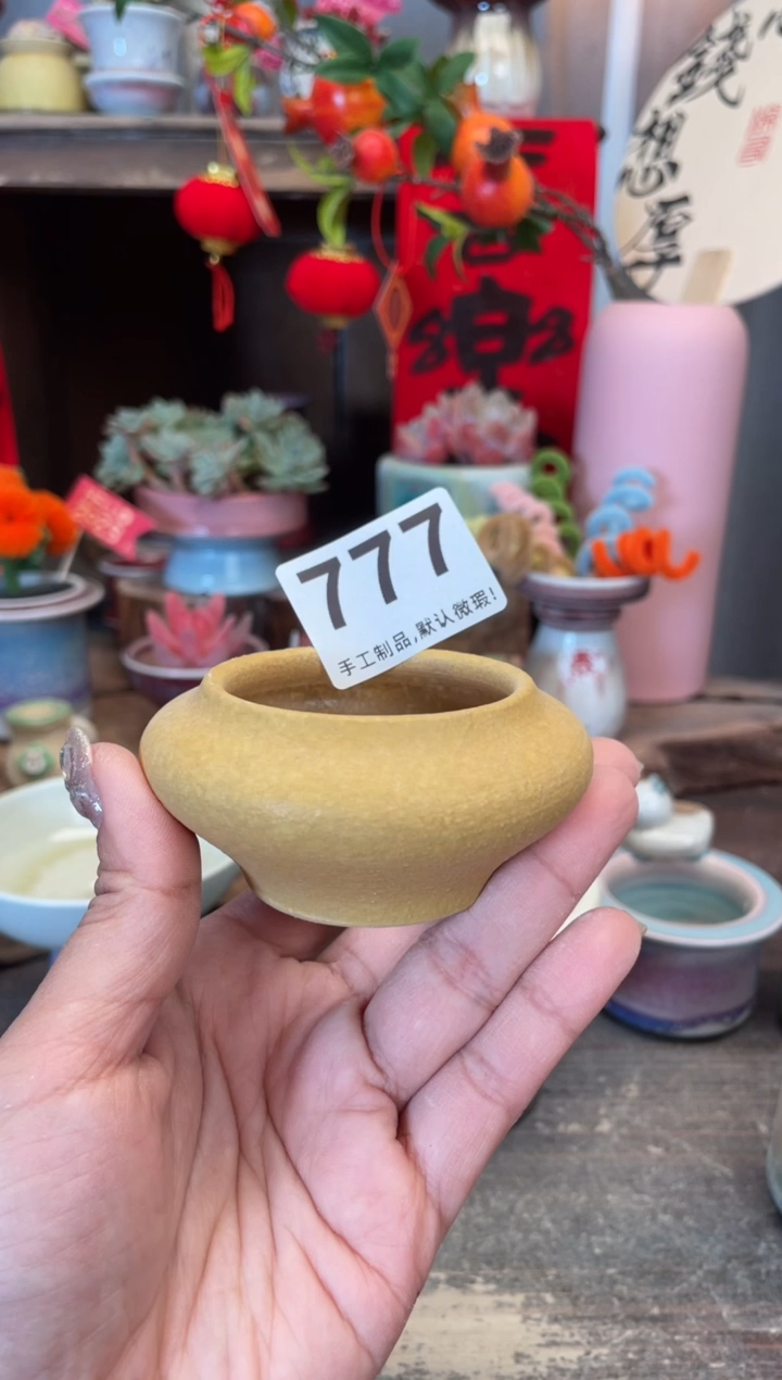 【闪购商品】摆件777小芳花盆直播编号