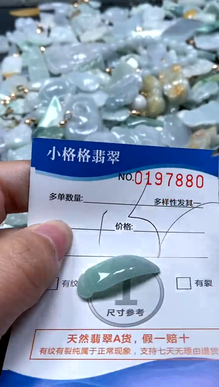 【闪购商品】翡翠颈饰未镶嵌闪购商品0197880