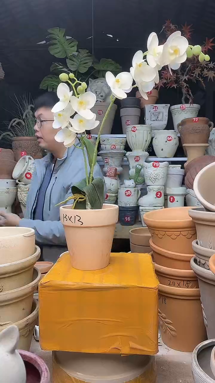 【闪购商品】缸1个13*13（红白）陶玛琪朵无托无托