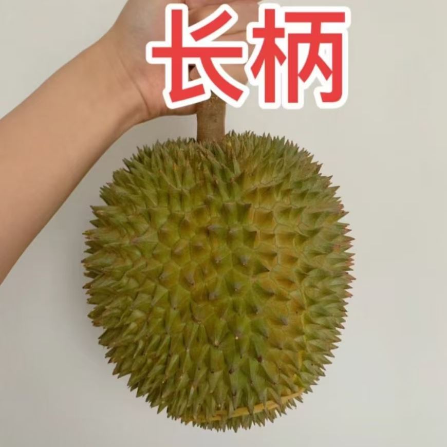 7号链接【长安同城即拍即送】泰国鲜榴莲长柄A级榴莲KG一物一拍】大核小核随机长柄榴莲长柄泰国
