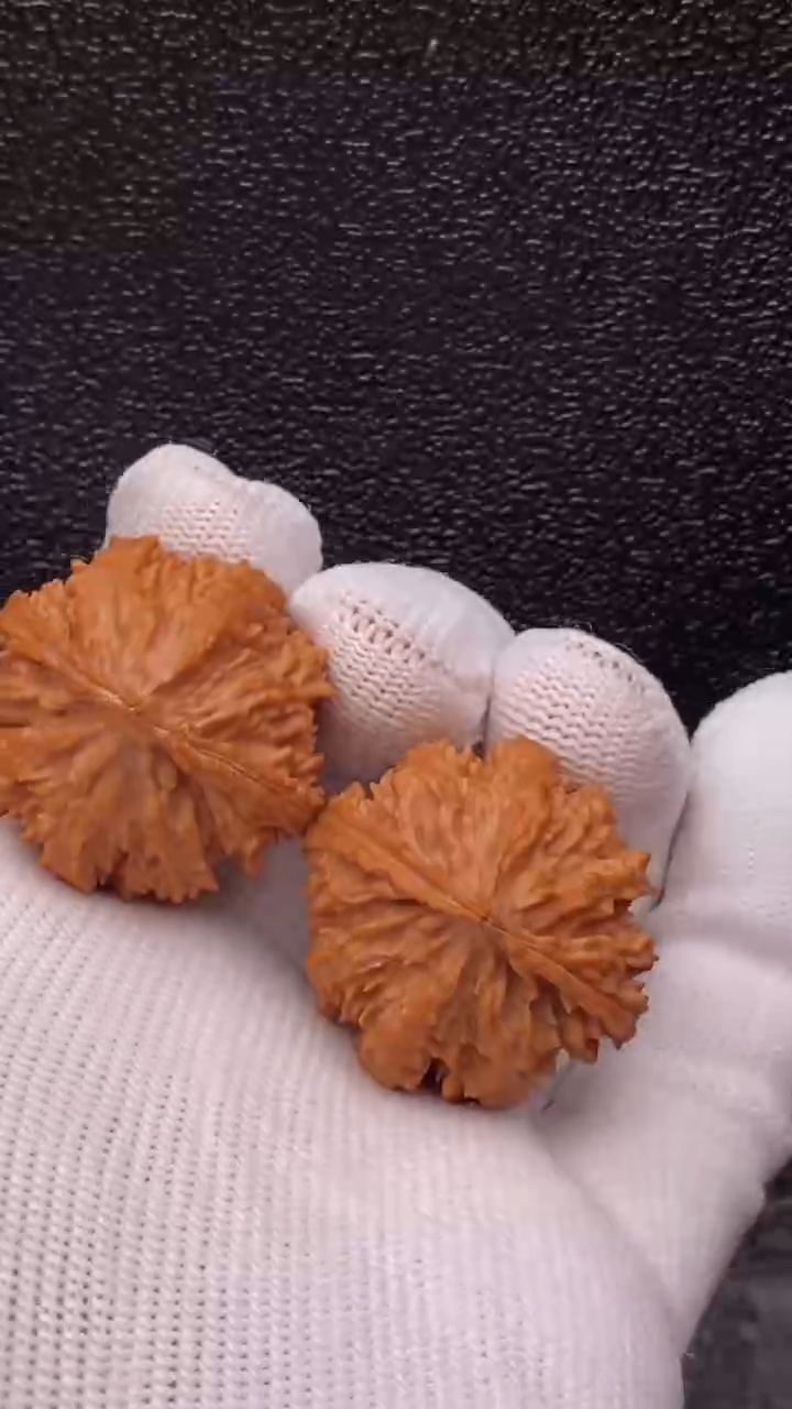 【闪购商品】文玩核桃把件蚂蚁八棱