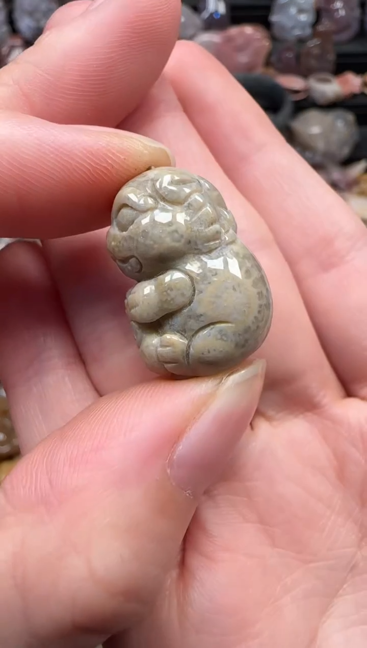 颈饰未镶嵌硅化珊瑚（珊瑚玉）084