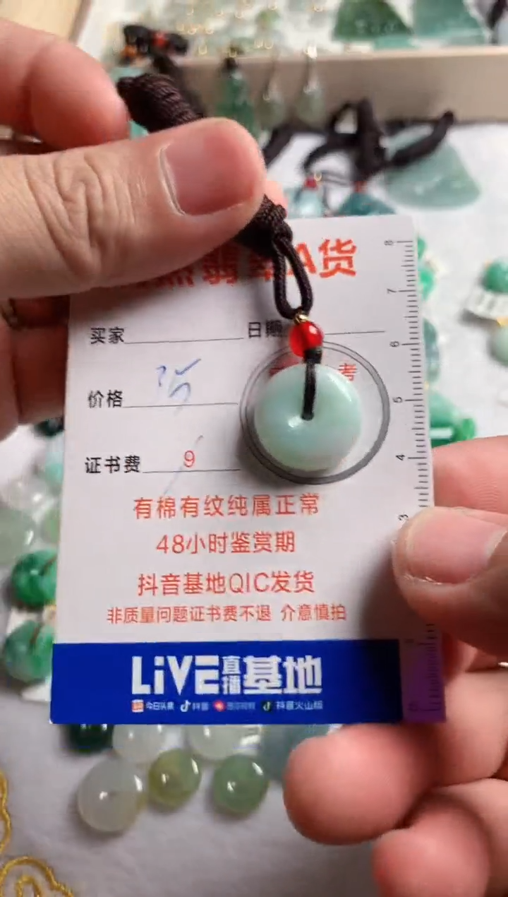 颈饰未镶嵌翡翠1