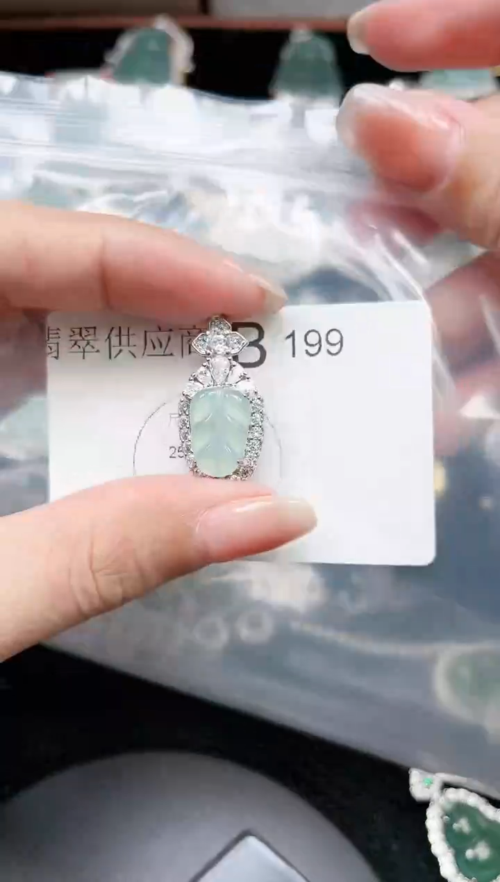 【闪购商品】翡翠颈饰未镶嵌199赠皮绳