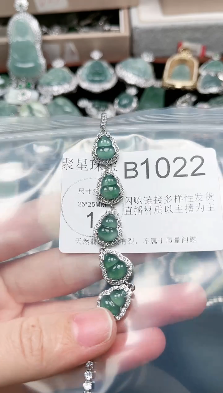 【闪购商品】翡翠颈饰未镶嵌赠皮绳1022