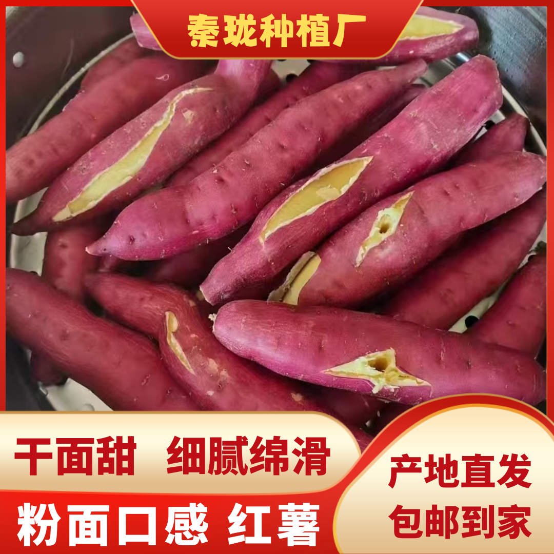 [直播专属]板栗红薯产地直发干面甜细腻绵滑陕西红薯