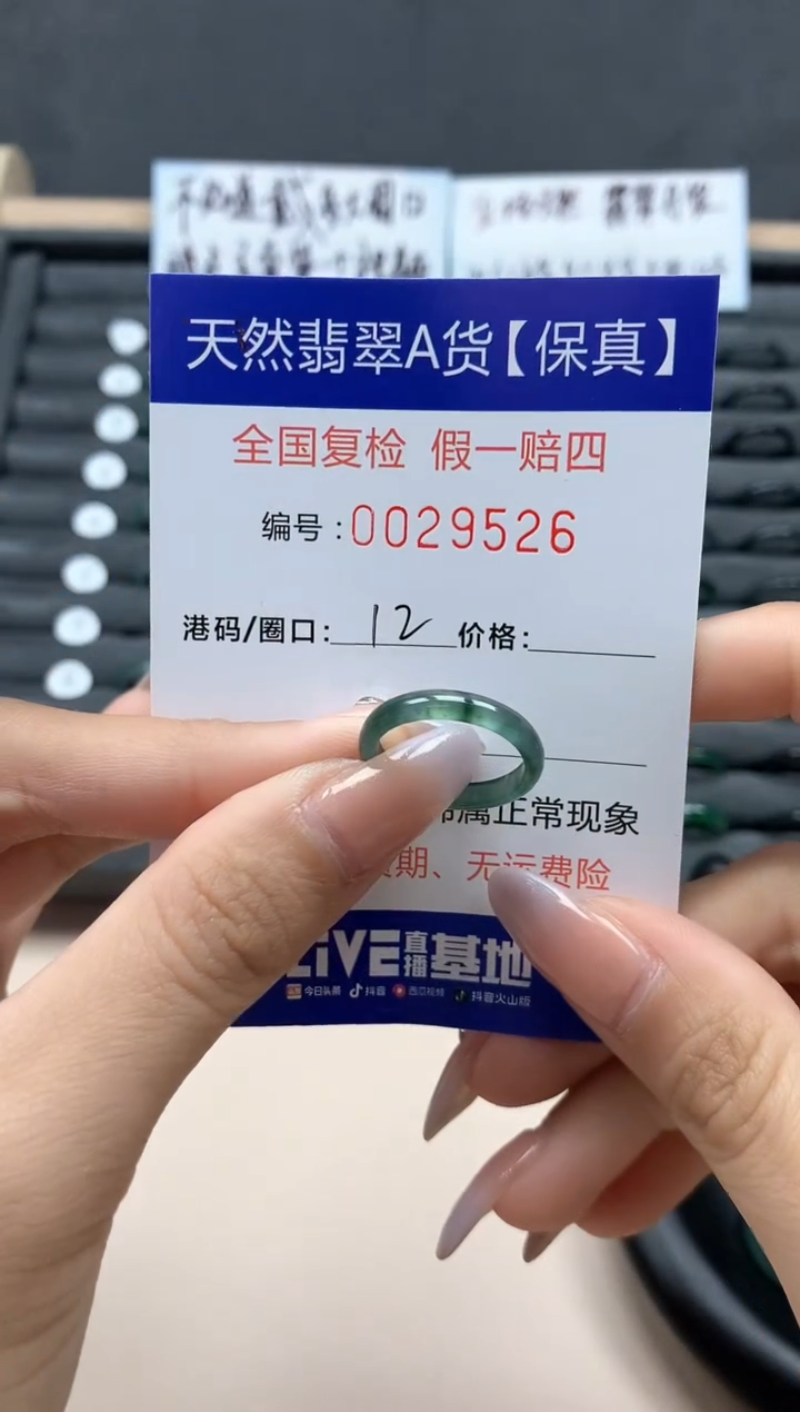 【闪购商品】翡翠戒指未镶嵌天然29526