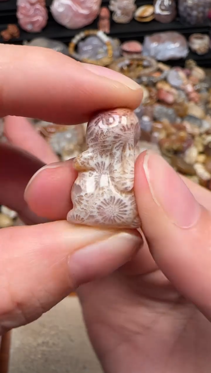 颈饰未镶嵌硅化珊瑚（珊瑚玉）204