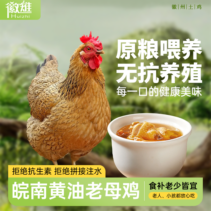 【徽雉】皖南无抗散养老母鸡谷饲喂养三年 2.3-2.5斤/只 三只装