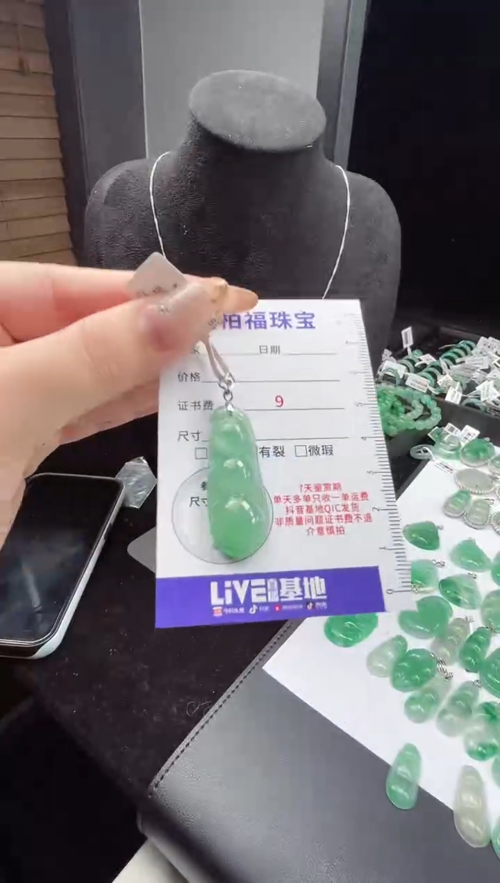 吊坠(赠链)银S925镶嵌石英质玉（非洲翠）14.36豆子