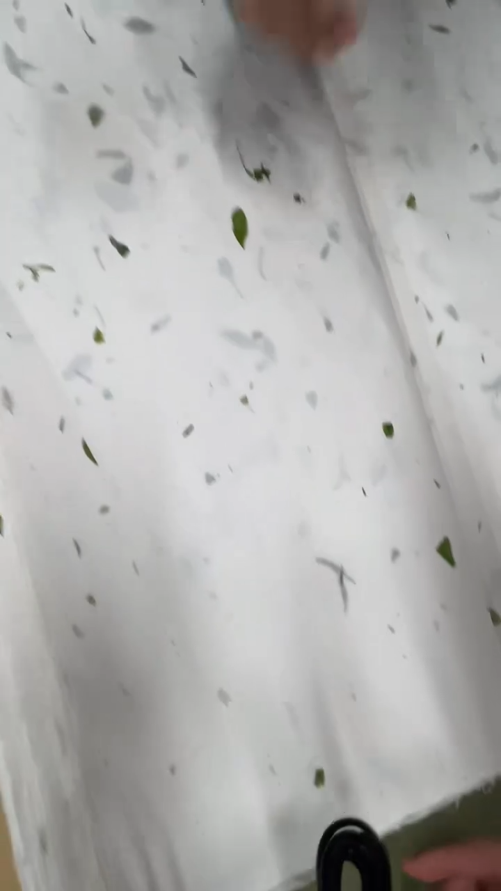 守金皮纸-茶叶皮纸-27