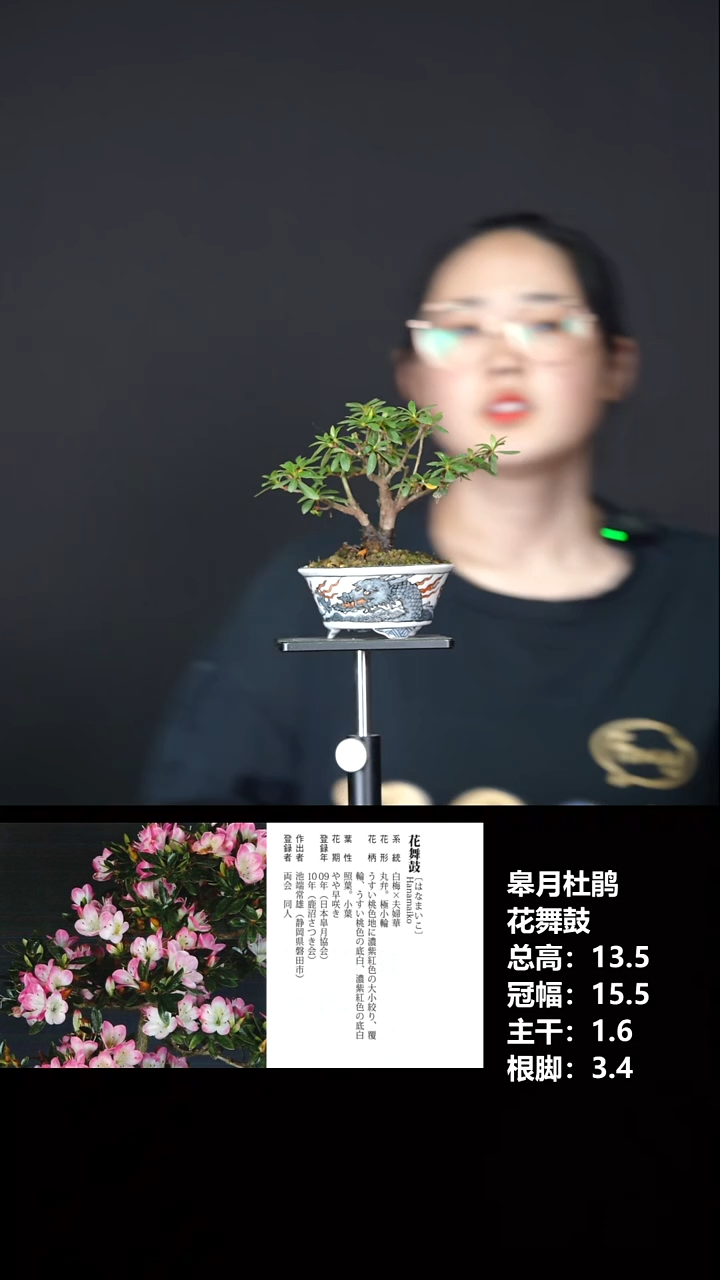 无花朵゛***见花舞鼓-531