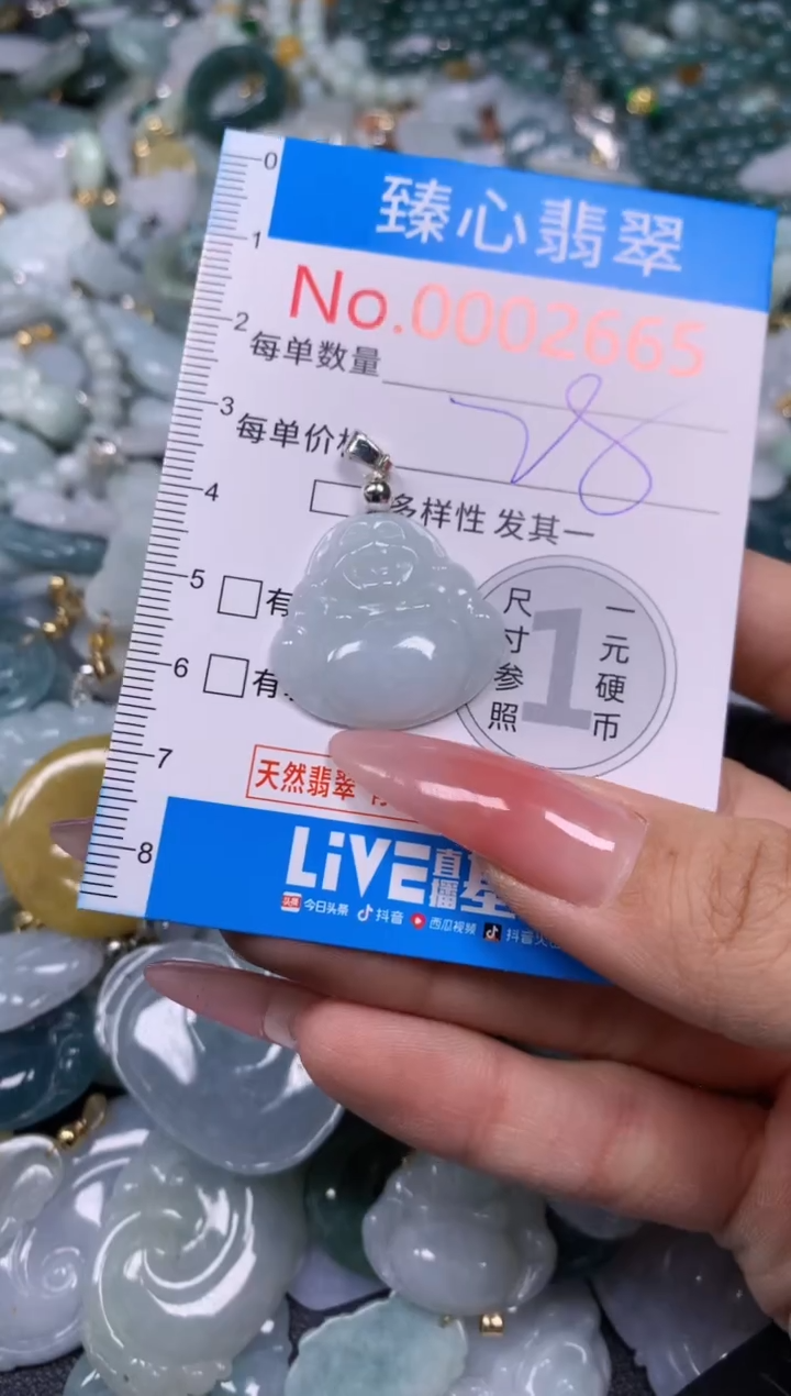 【闪购商品】翡翠颈饰未镶嵌含绳0002665