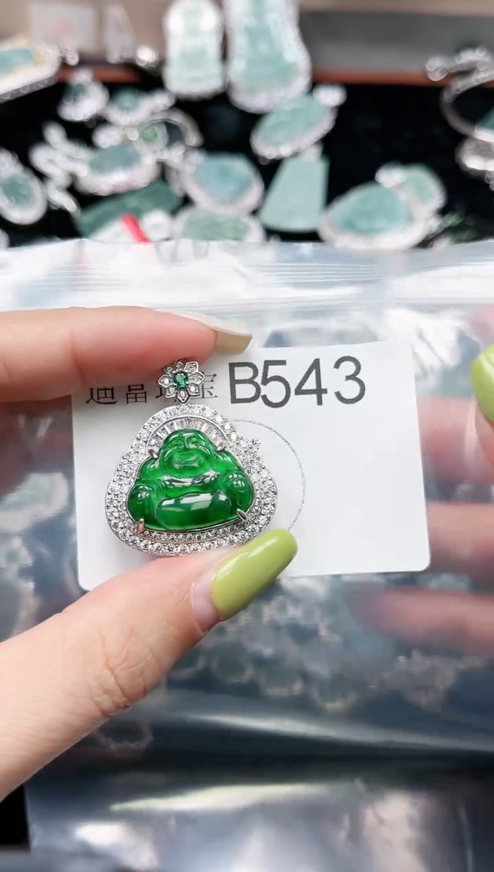 【闪购商品】翡翠颈饰未镶嵌赠皮绳543