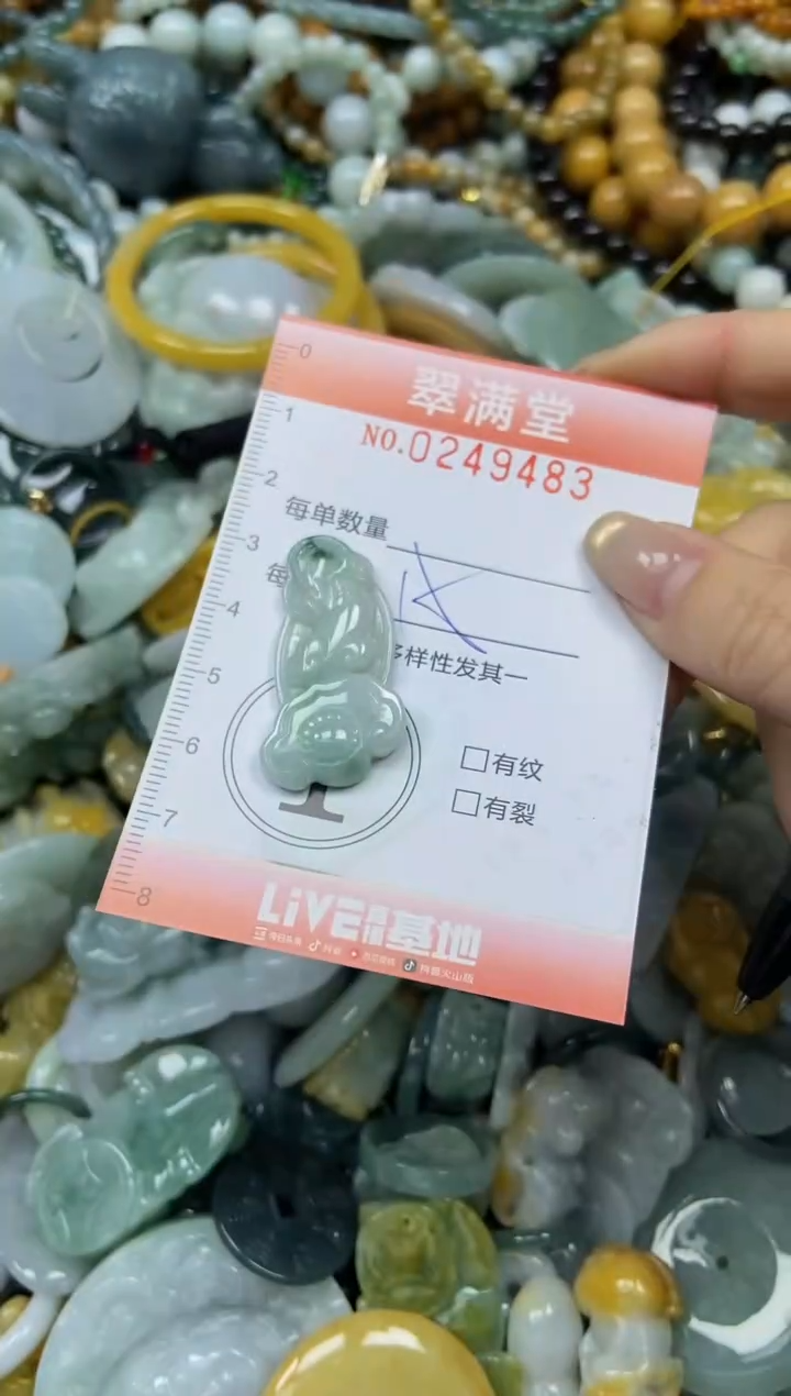 未镶嵌挂件翡翠闪购0249483