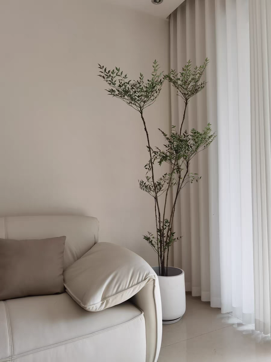 高货南天竹，高品质