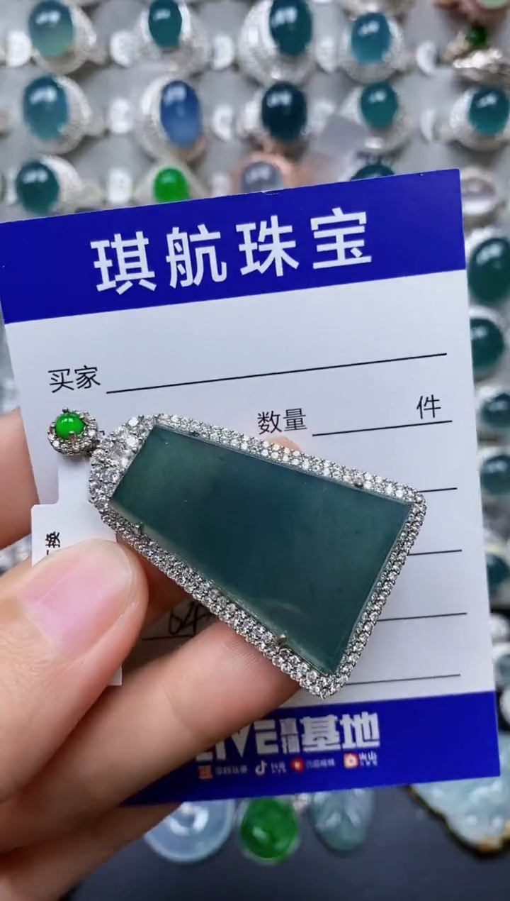 【闪购商品】翡翠颈饰银S925镶嵌0640