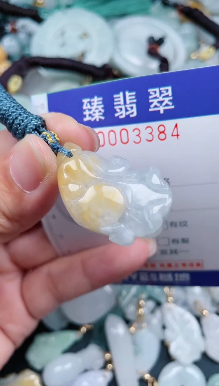 翡翠未镶嵌颈饰.0003384