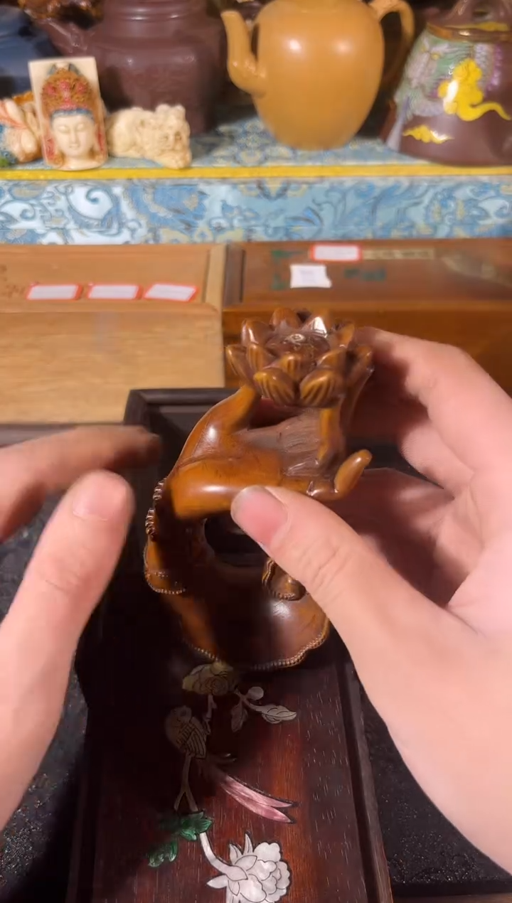 黄杨木11111111111