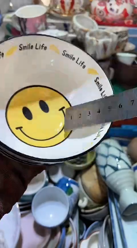 【闪购商品】瓷片6938798495146054966