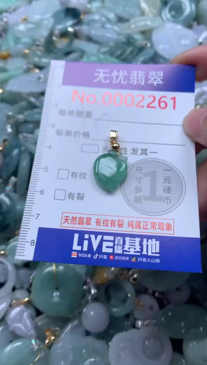 颈饰未镶嵌翡翠2261