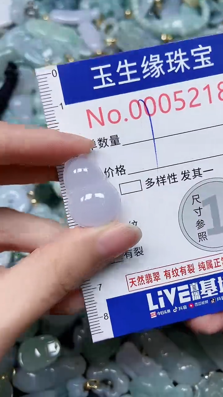 【闪购商品】翡翠颈饰未镶嵌闪购00005218