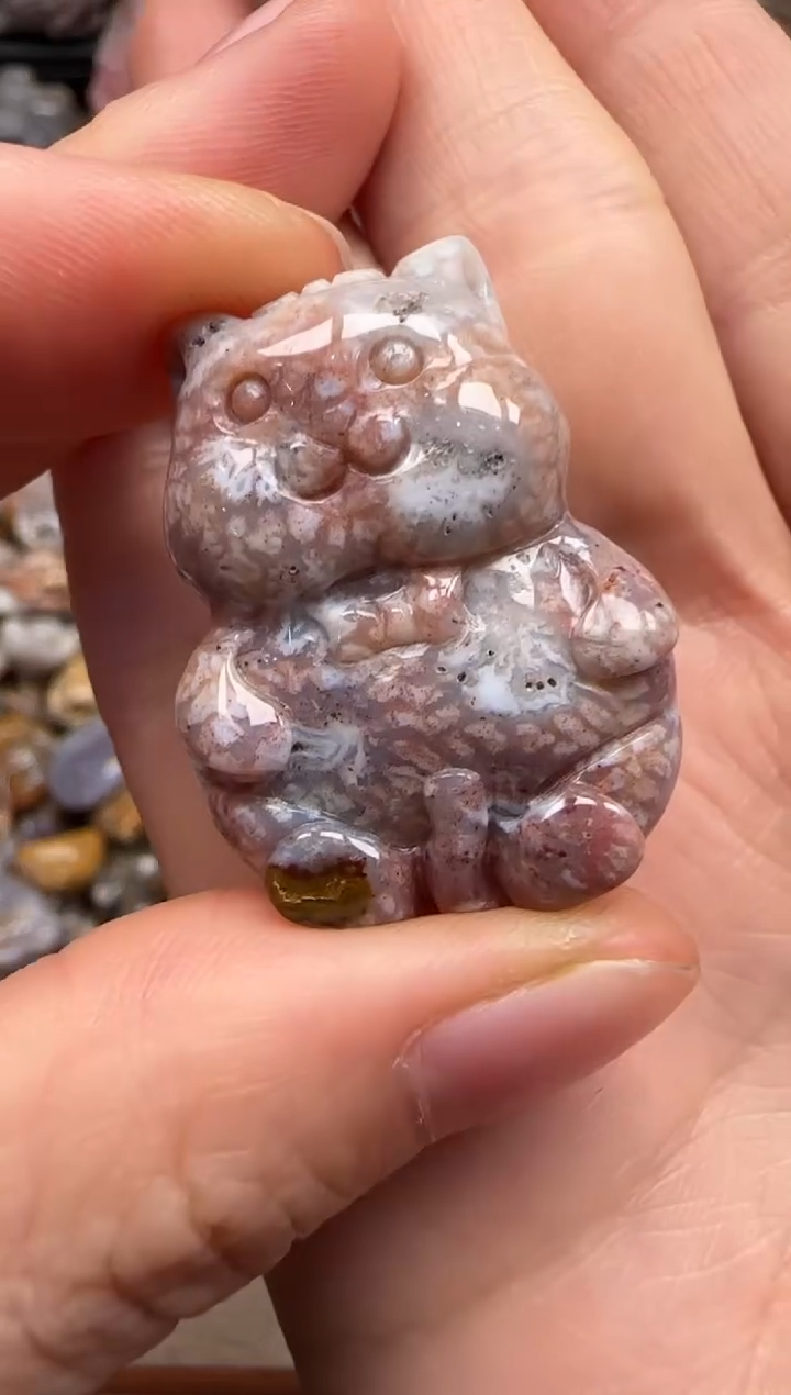 【闪购商品】硅化珊瑚（珊瑚玉）颈饰未镶嵌189