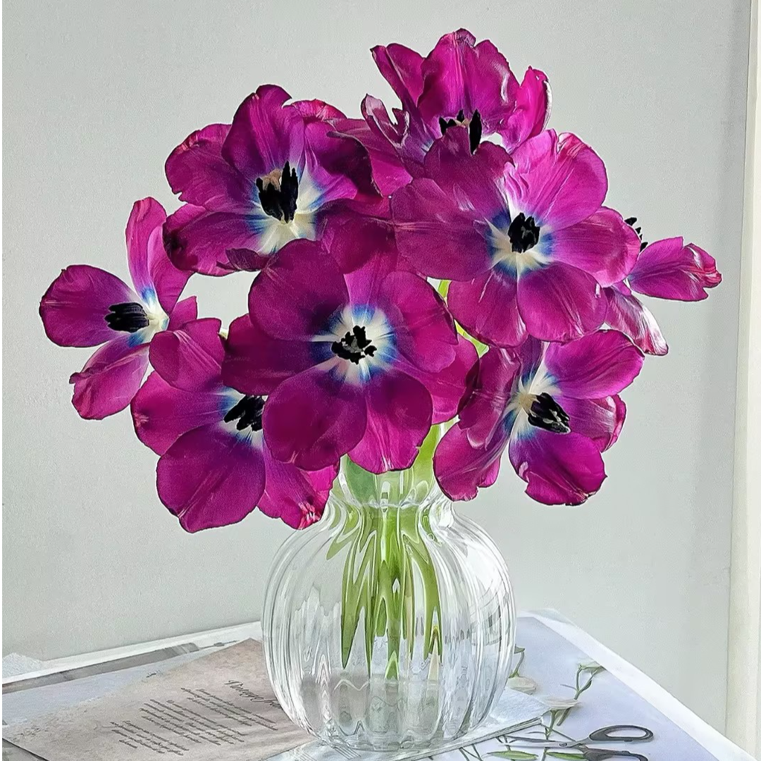 【一品花集】【波尔多】郁金香 云南昆明基地直发家用鲜花