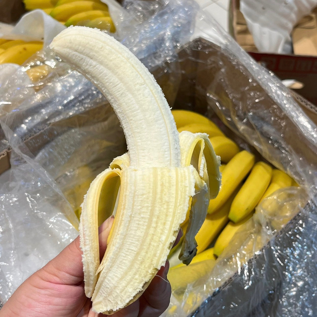 水果码头纯进口香蕉3斤5斤9斤