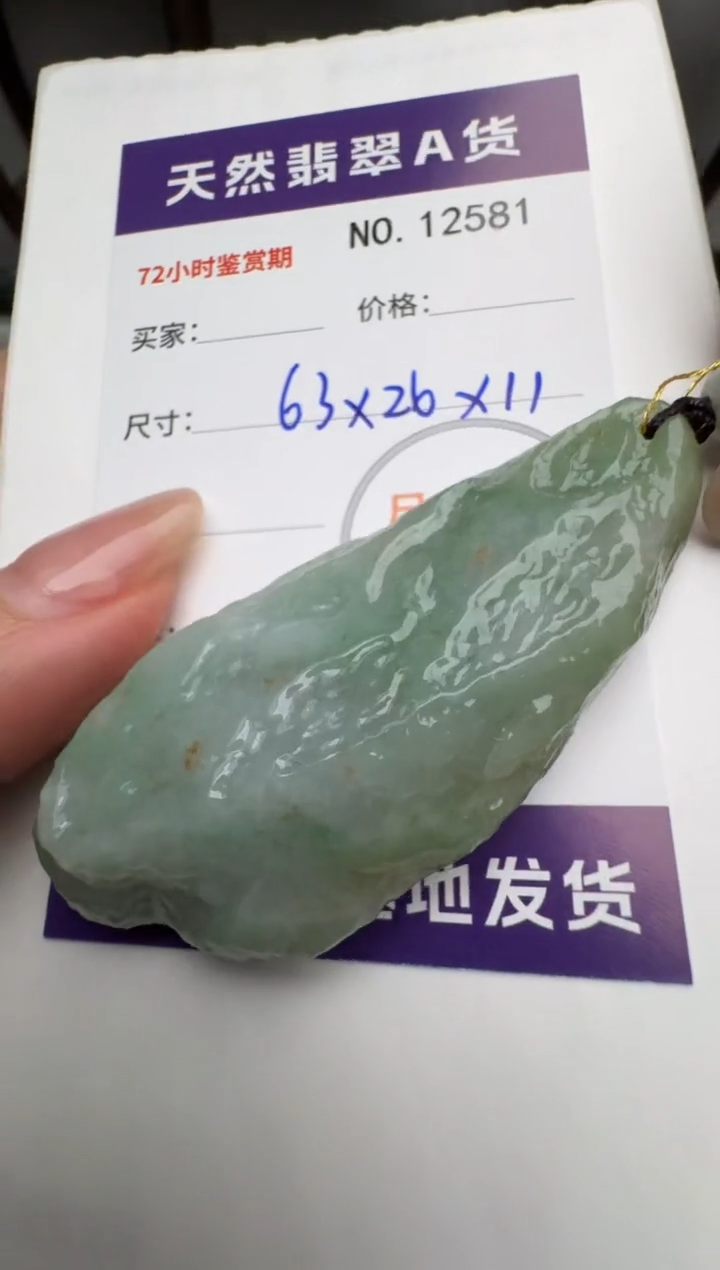 【闪购商品】翡翠颈饰未镶嵌原石12581