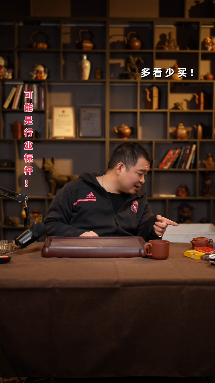 茶壶紫砂?****子紫砂壶紫砂壶紫砂壶