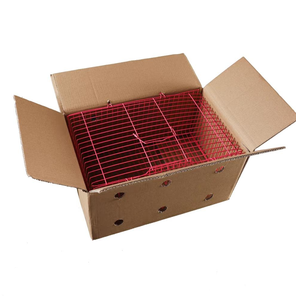 活体宠物兔定制打包运输笼子